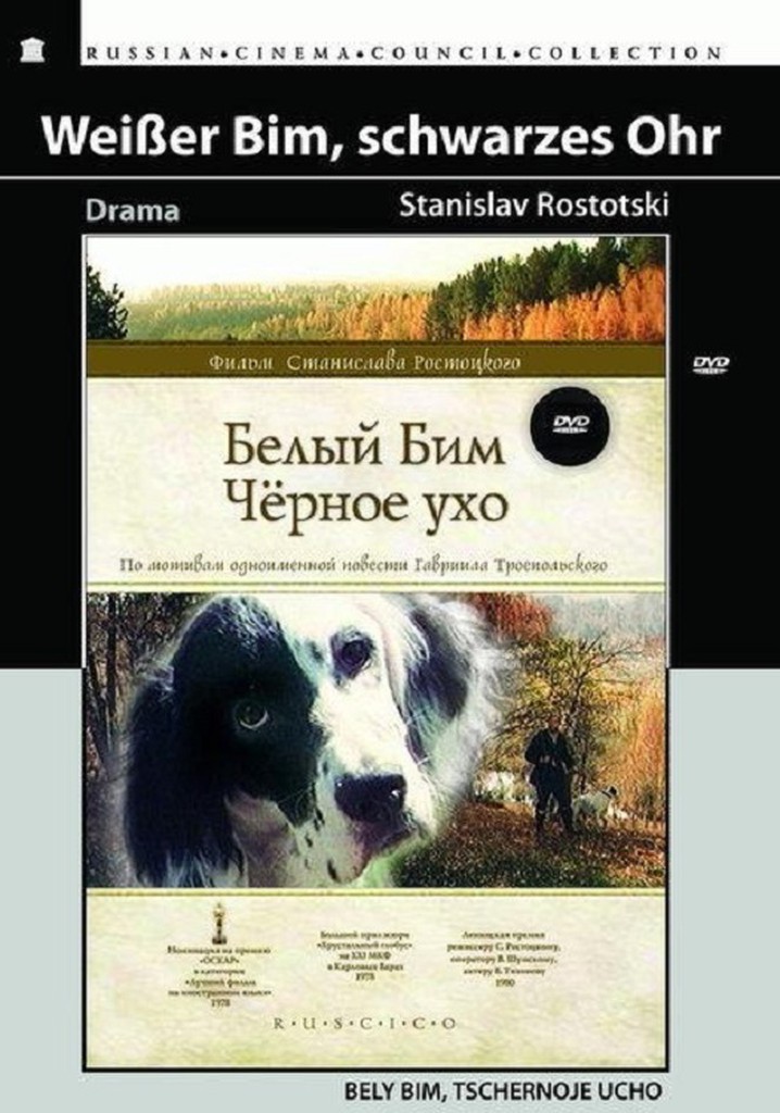 Белый Бим черное ухо сколько страниц. Обложка DVD К Бим. Пёс в законе.